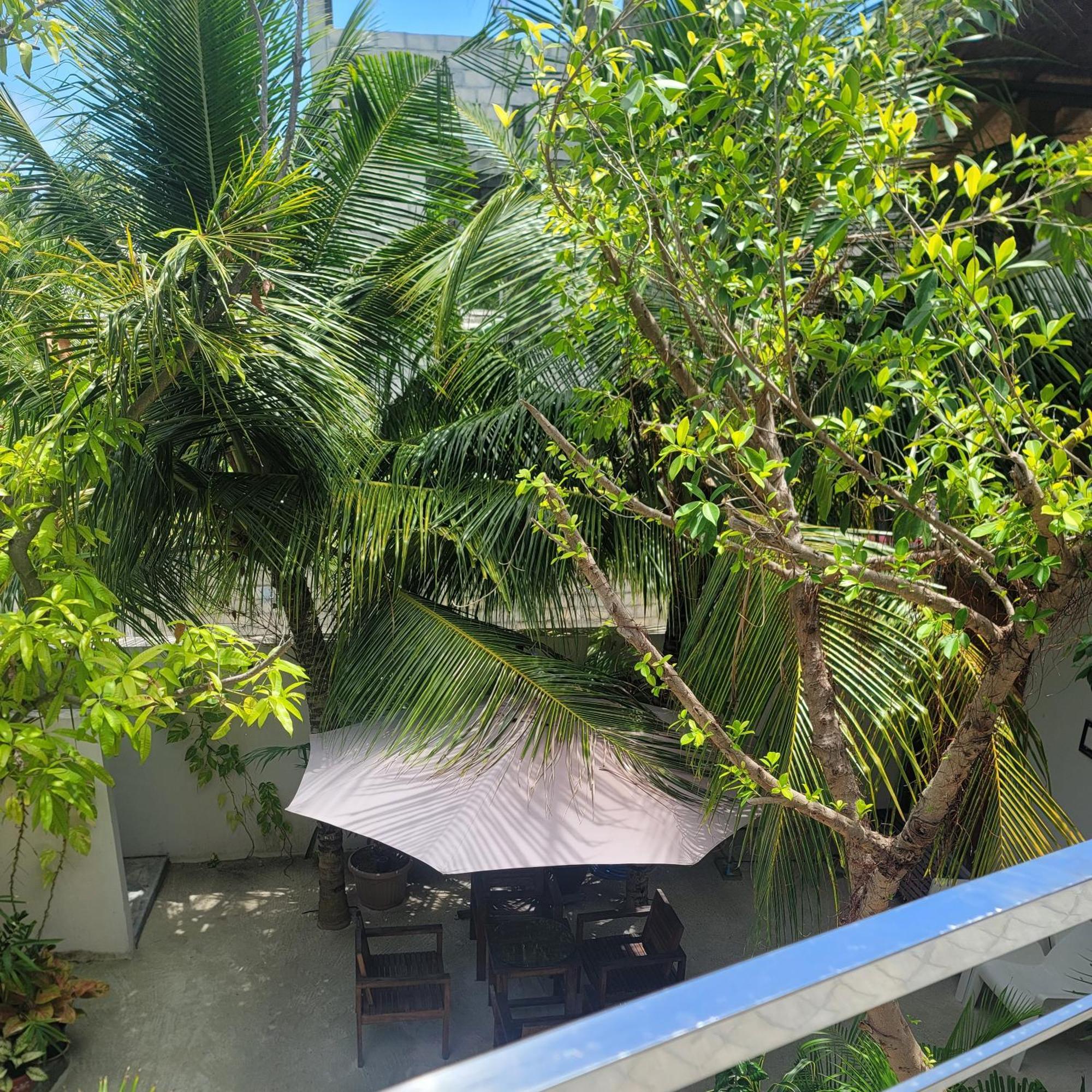 Palm Residence Rasdhoo Rum bild